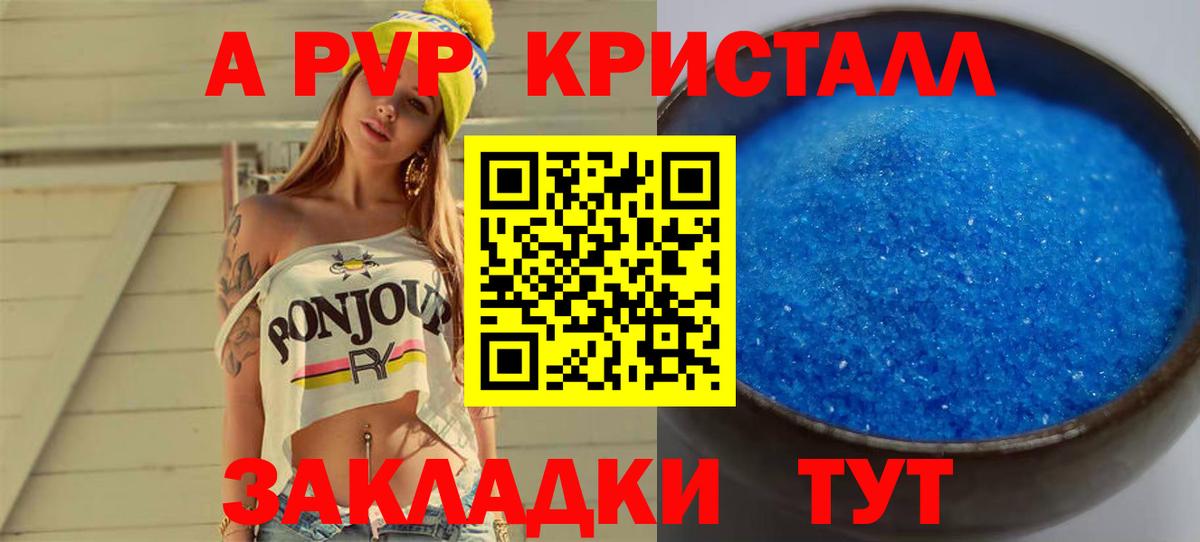 Альфа ПВП СК КРИС Гудермес