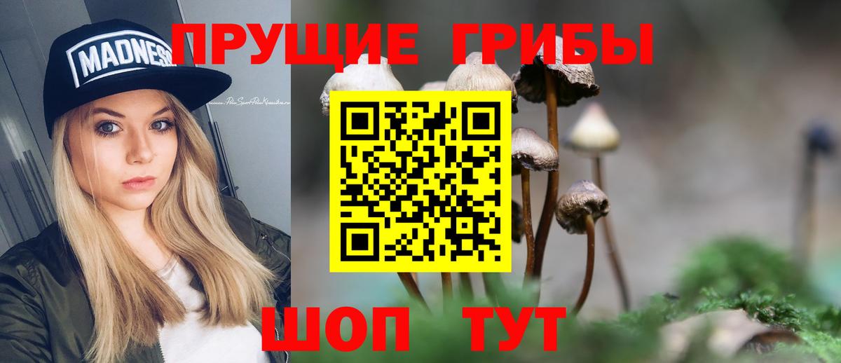 Псилоцибиновые грибы Cubensis  Вход с VPN  Гудермес  наркошоп  Псилоцибиновые грибы мухоморы 