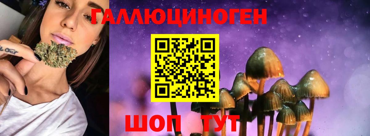 Экстази Гудермес
